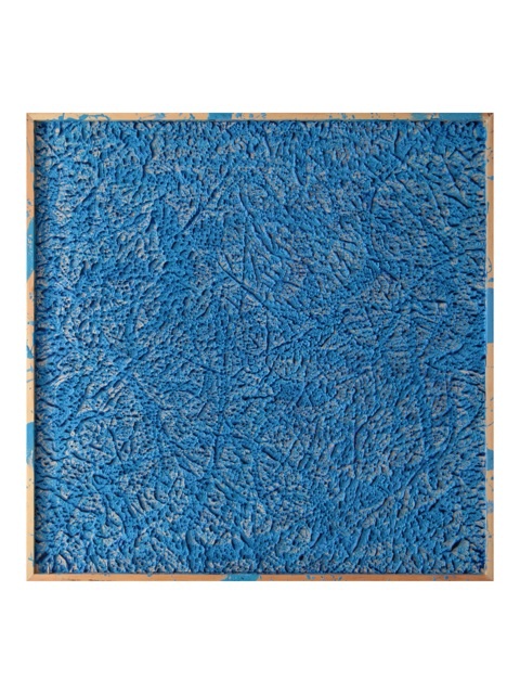 An Abstraction Rooted Into the World at Gowen Contemporary