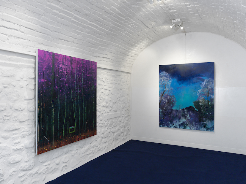 Beyond the Sublime at Gowen Contemporary