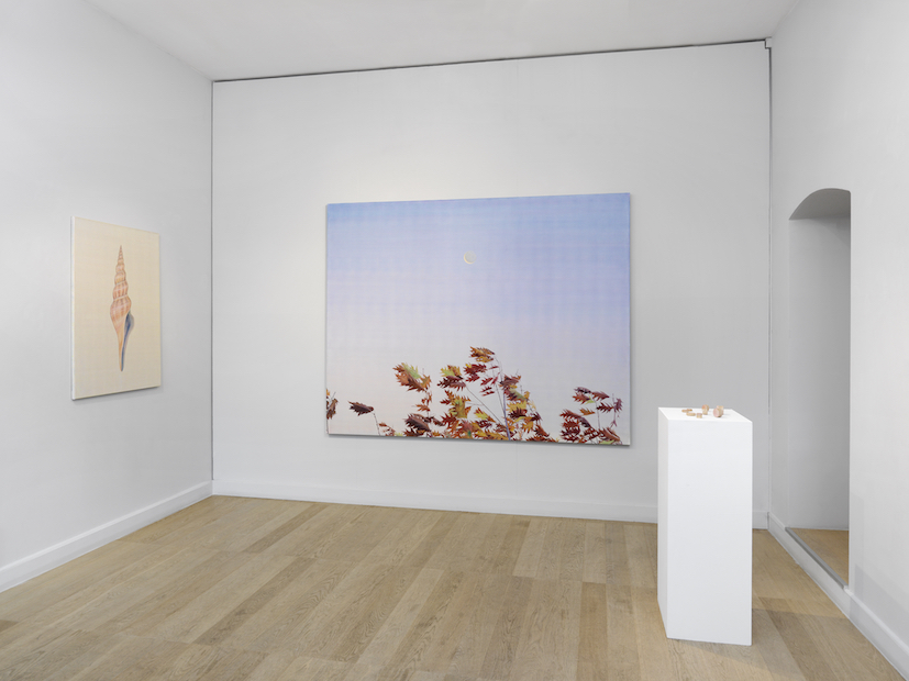 Silent Vibration at Gowen Contemporary