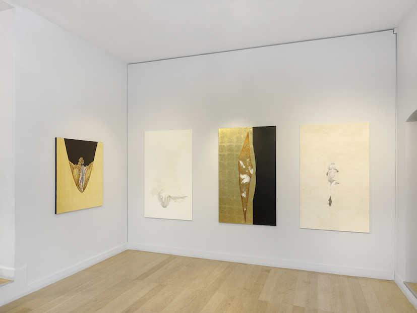 Phase Transitions at Gowen Contemporary