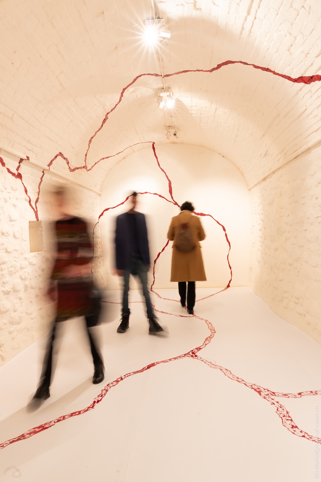 Phase Transitions at Gowen Contemporary