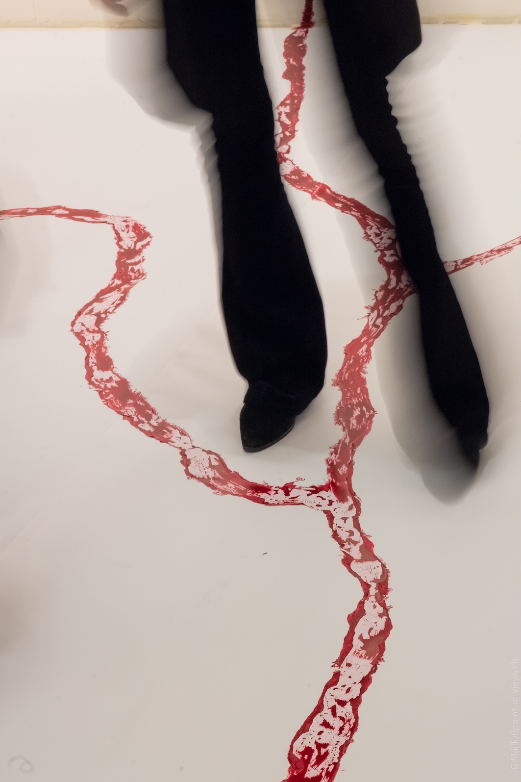 Phase Transitions at Gowen Contemporary