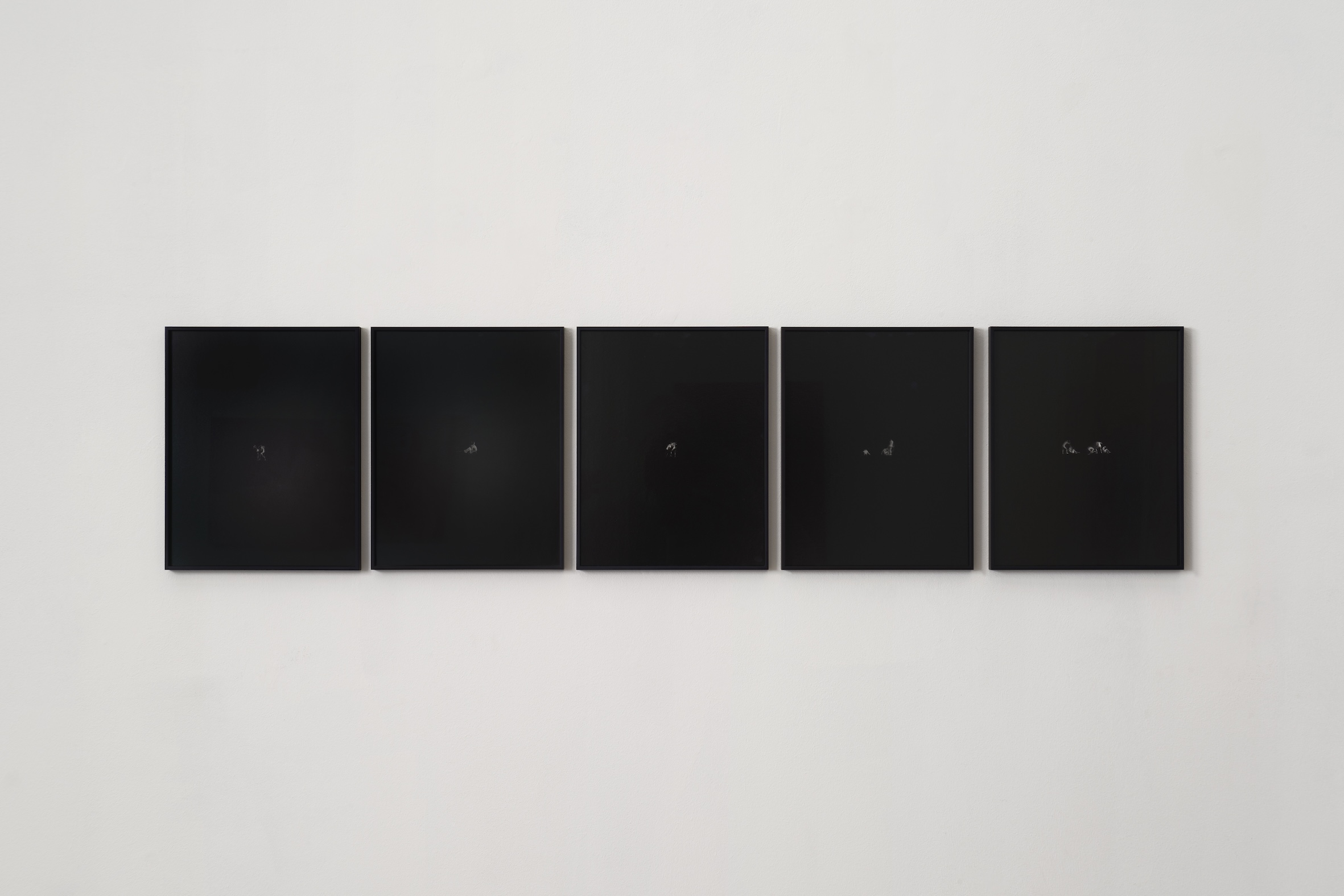 Sans Armure at Gowen Contemporary