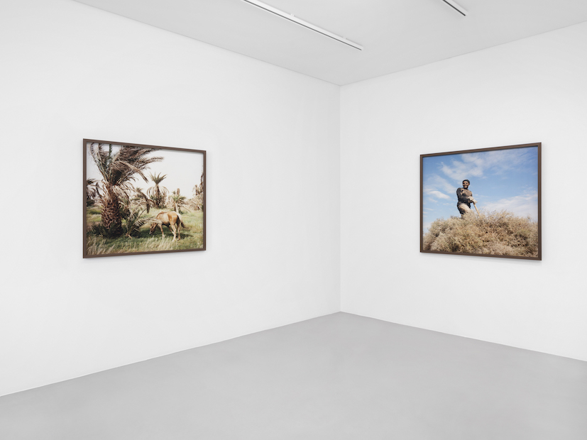 Kafila at Gowen Contemporary