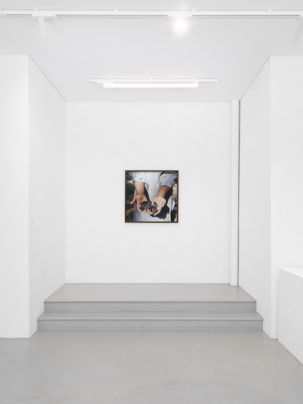 Kafila at Gowen Contemporary