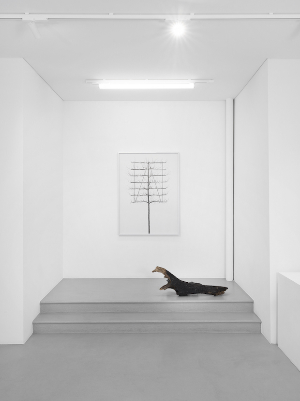 Tomorrow crumbles in hands at Gowen Contemporary