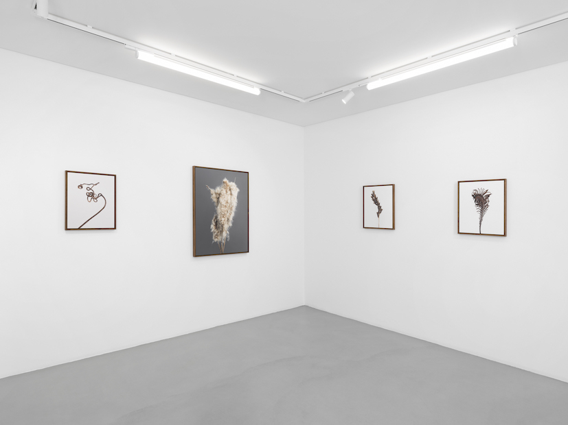 Tomorrow crumbles in hands at Gowen Contemporary