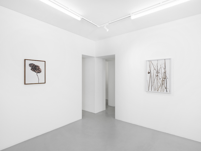 Tomorrow crumbles in hands at Gowen Contemporary