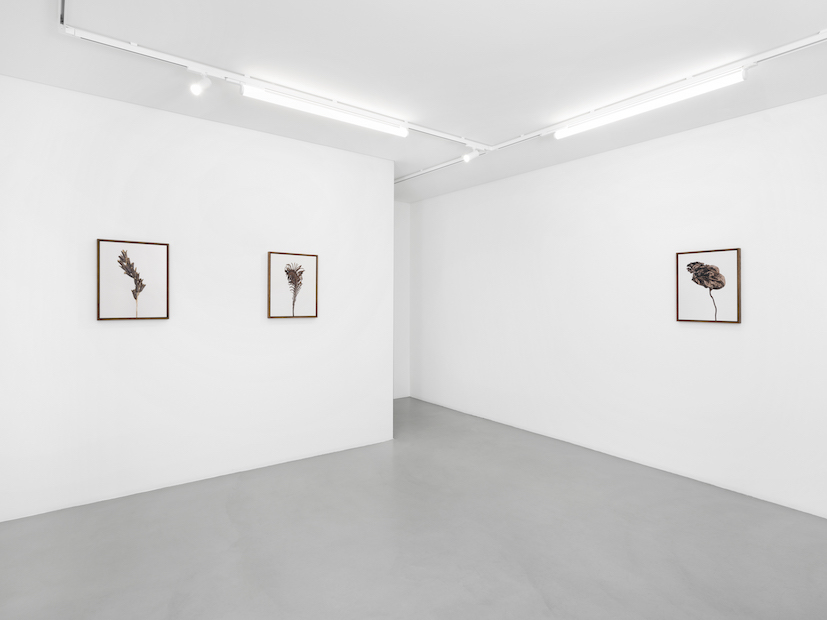 Tomorrow crumbles in hands at Gowen Contemporary