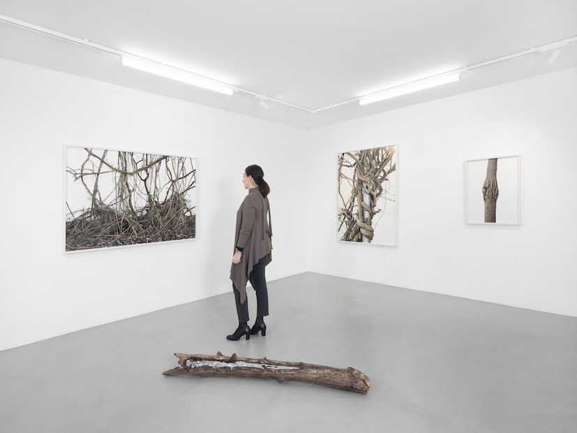 Tomorrow crumbles in hands at Gowen Contemporary