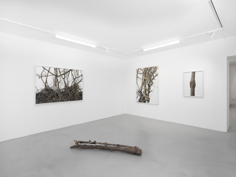 Tomorrow crumbles in hands at Gowen Contemporary