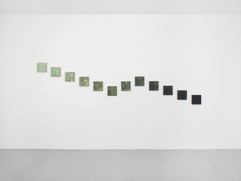 Salutation at Gowen Contemporary