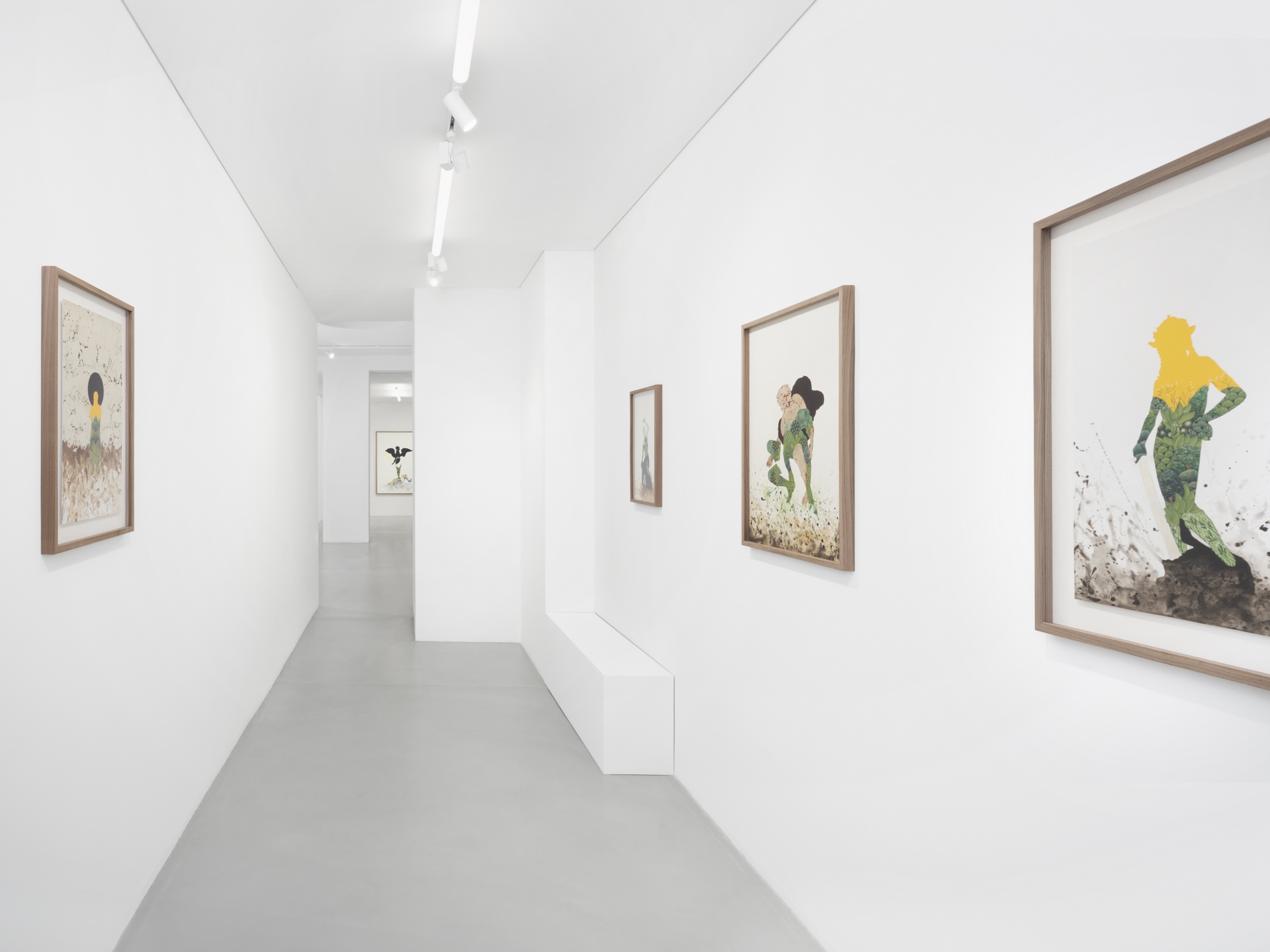 Delusional Perceptions at Gowen Contemporary