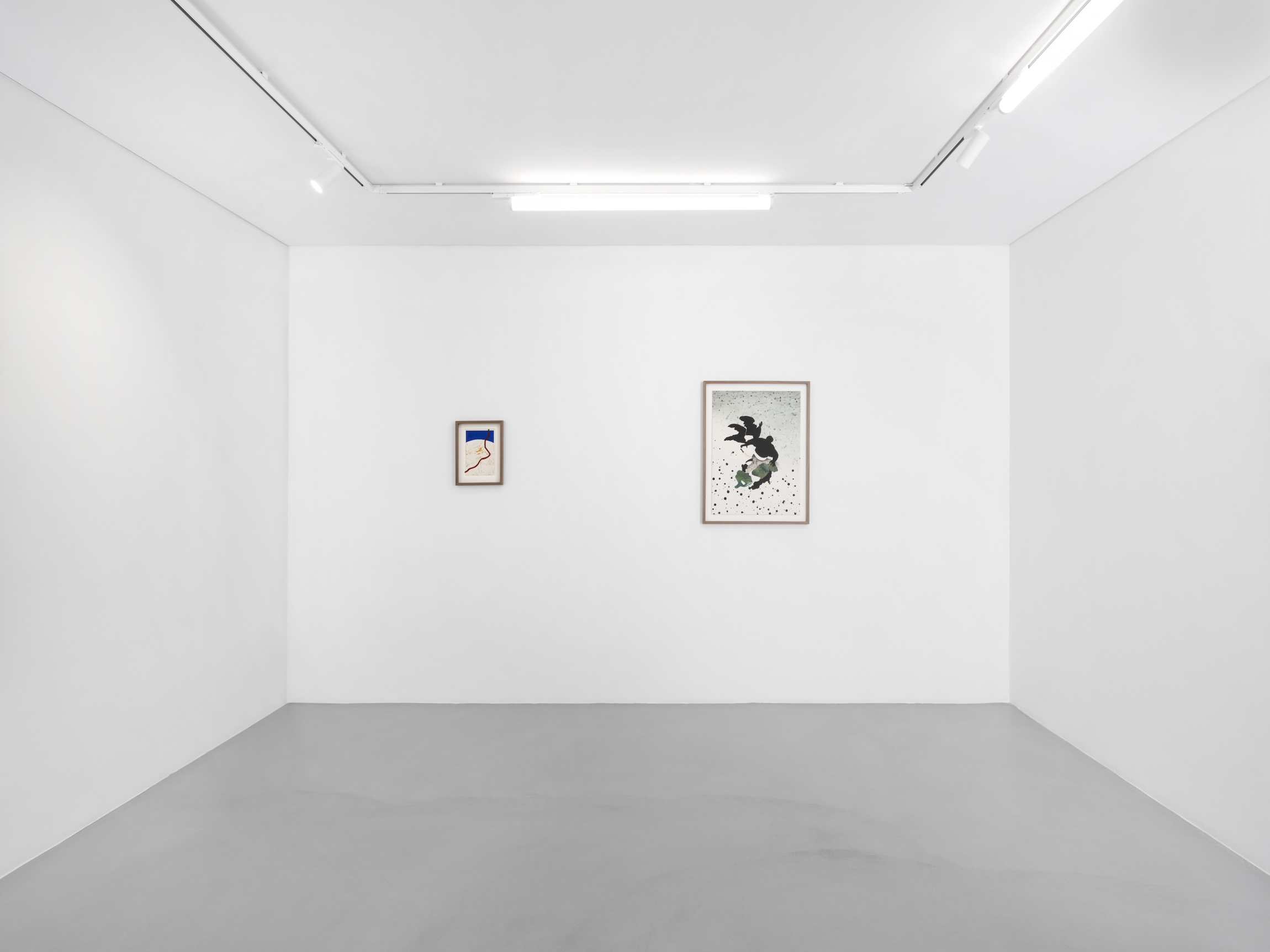 Delusional Perceptions at Gowen Contemporary