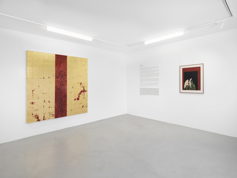 Delusional Perceptions at Gowen Contemporary