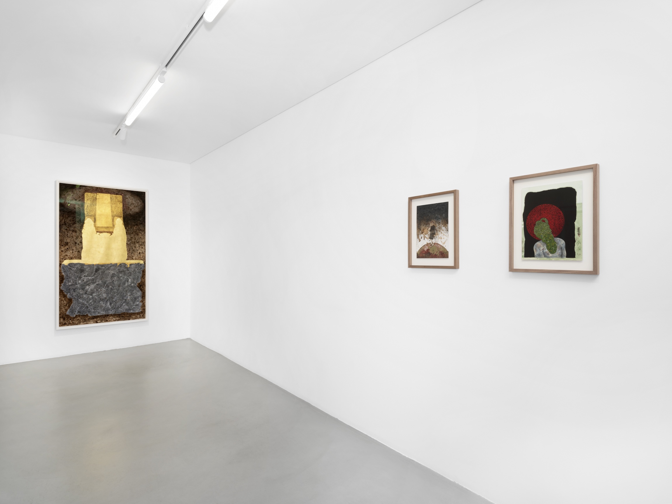Delusional Perceptions at Gowen Contemporary