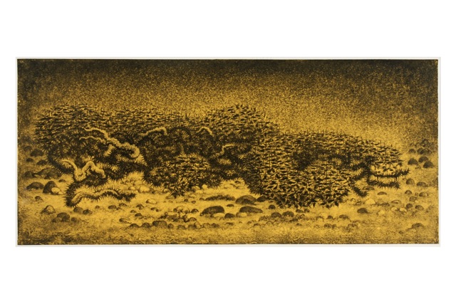 Have I Ever Opposed You? at Gowen Contemporary