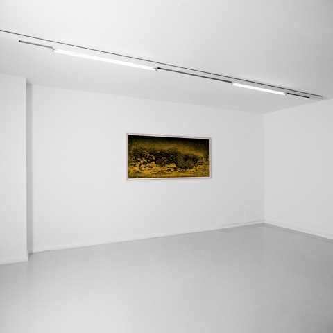 Have I Ever Opposed You? at Gowen Contemporary