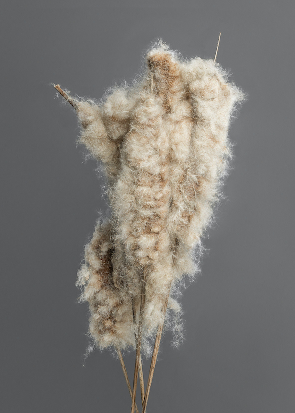 Tomorrow crumbles in hands at Gowen Contemporary