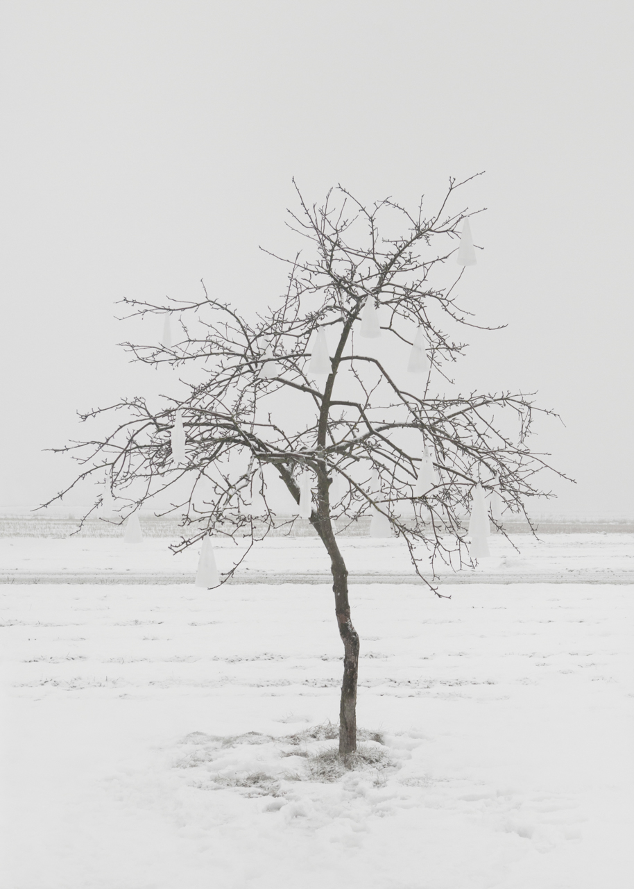 Prix HSBC pour la Photographie, Lauréats 2016 at Gowen Contemporary