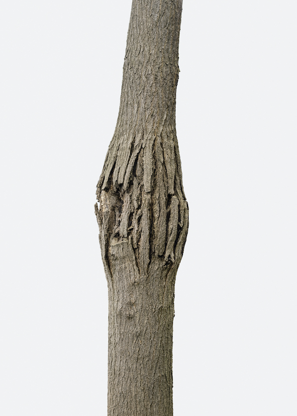Tomorrow crumbles in hands at Gowen Contemporary
