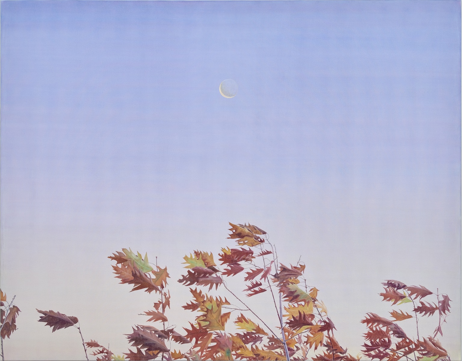 Silent Vibration at Gowen Contemporary