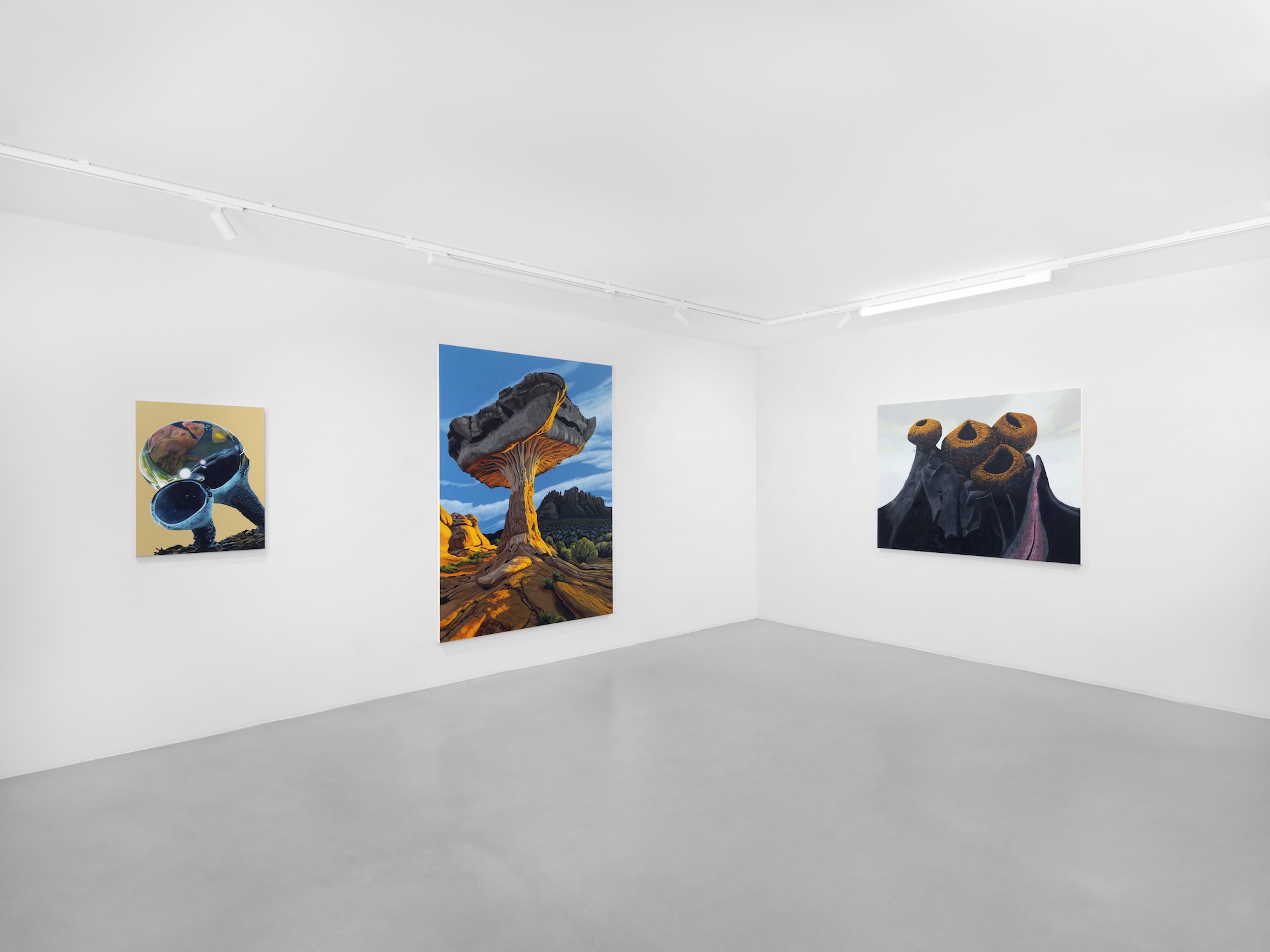 What Is Really Matter at Gowen Contemporary