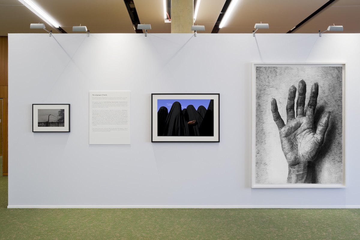 When the Dove Arrives at Gowen Contemporary