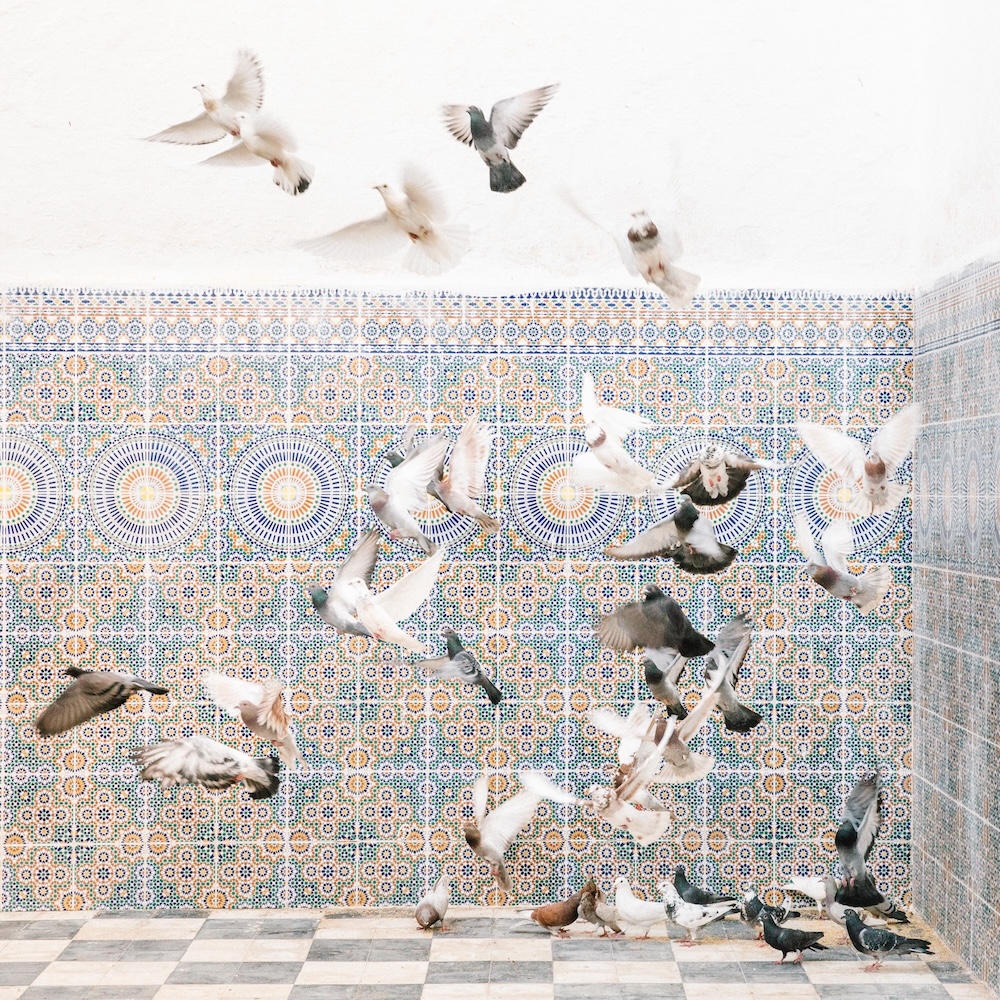 thumbnail - When the Dove Arrives