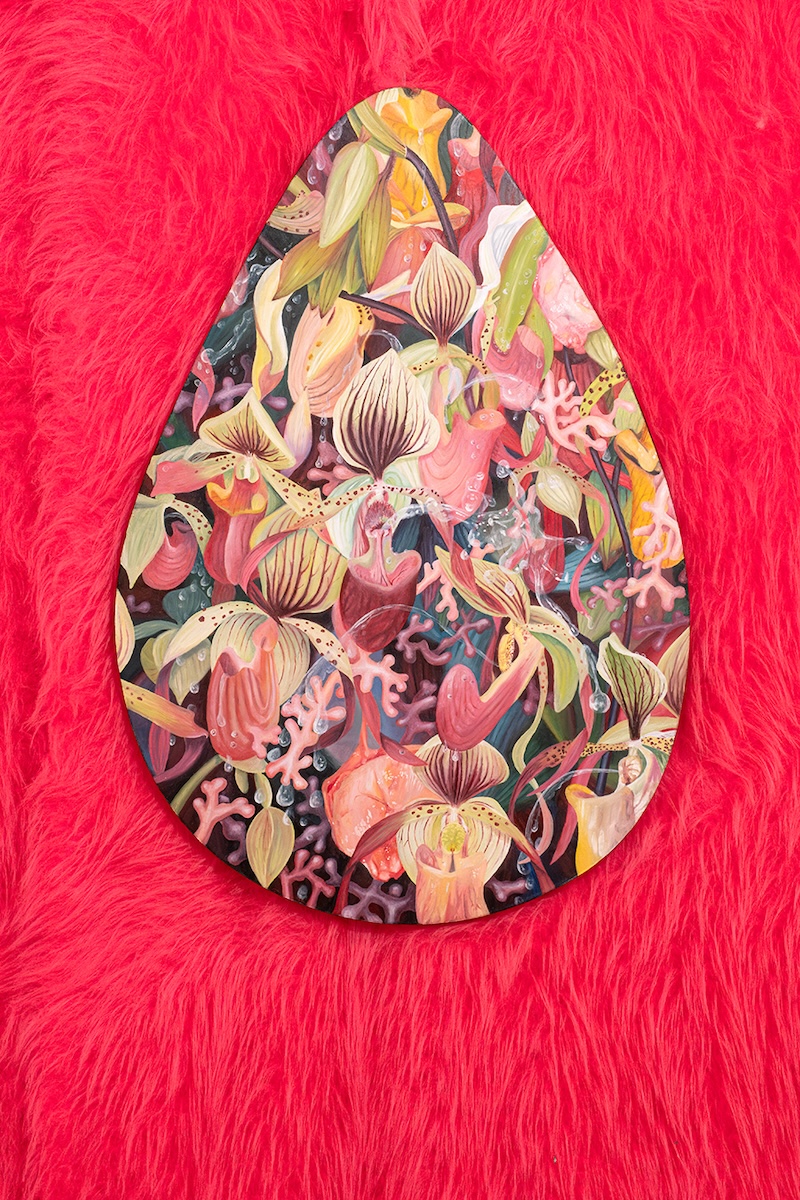 Installation Views at Gowen Contemporary
