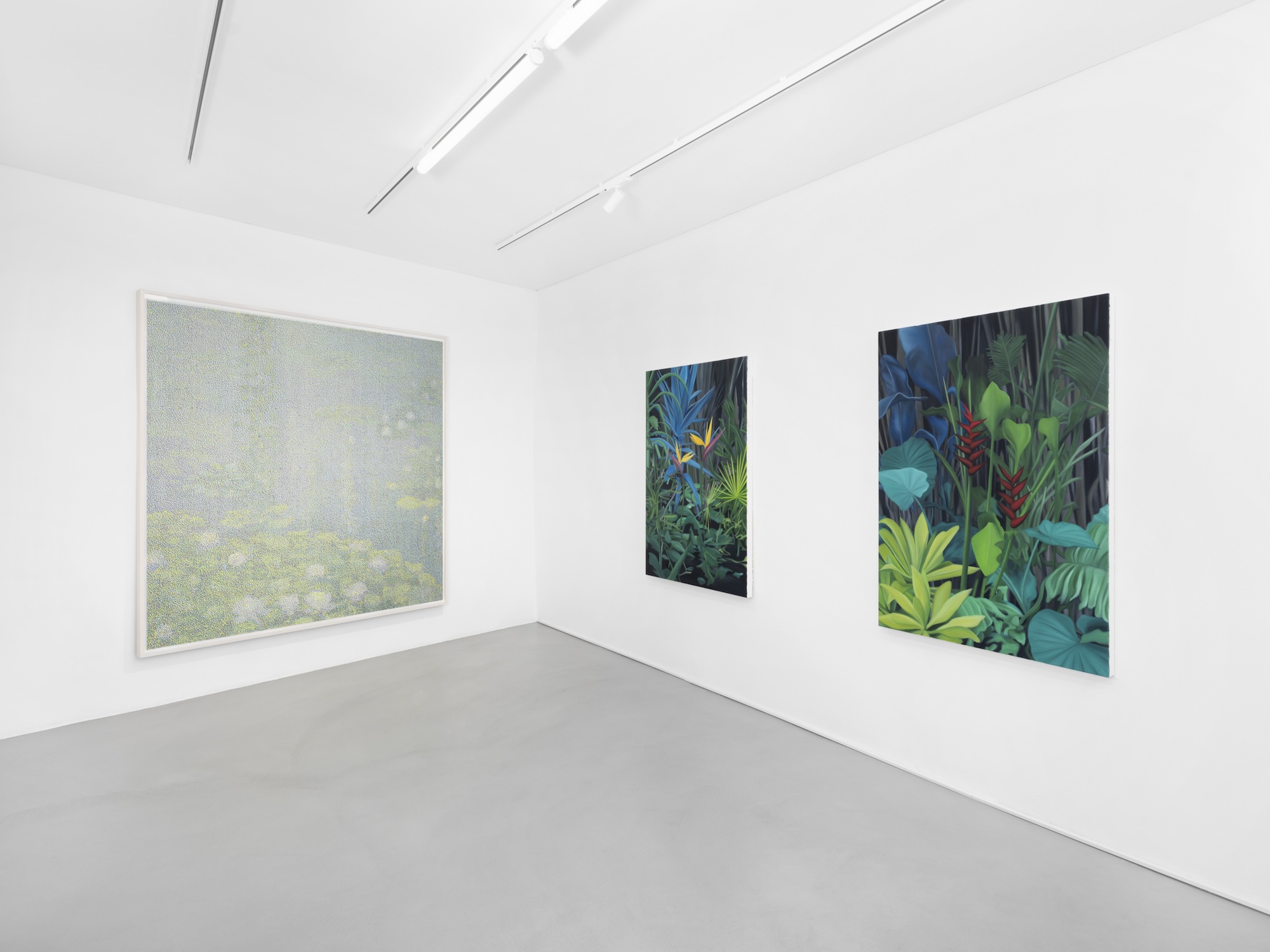 Installation Views at Gowen Contemporary