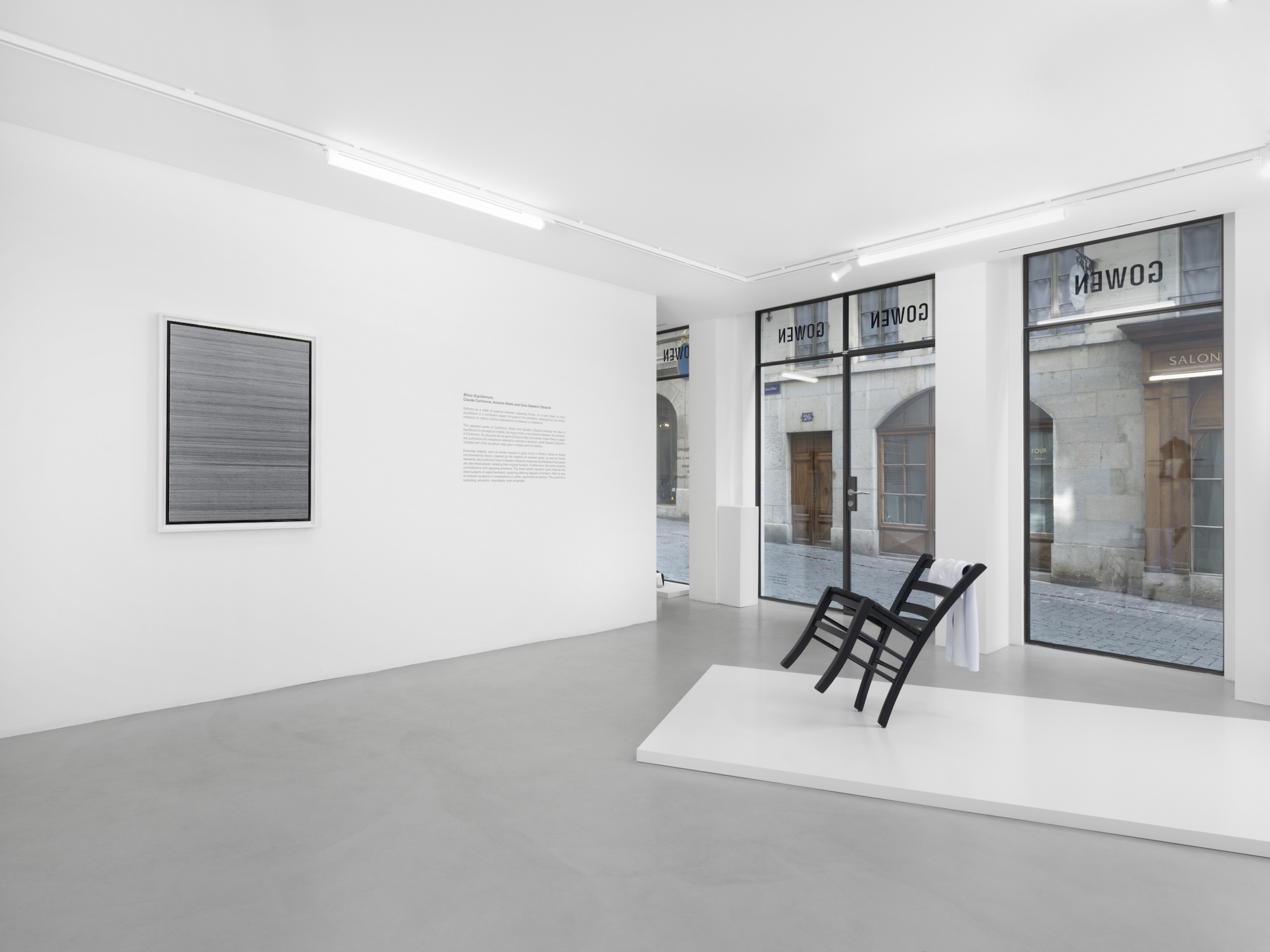 Installation Views at Gowen Contemporary