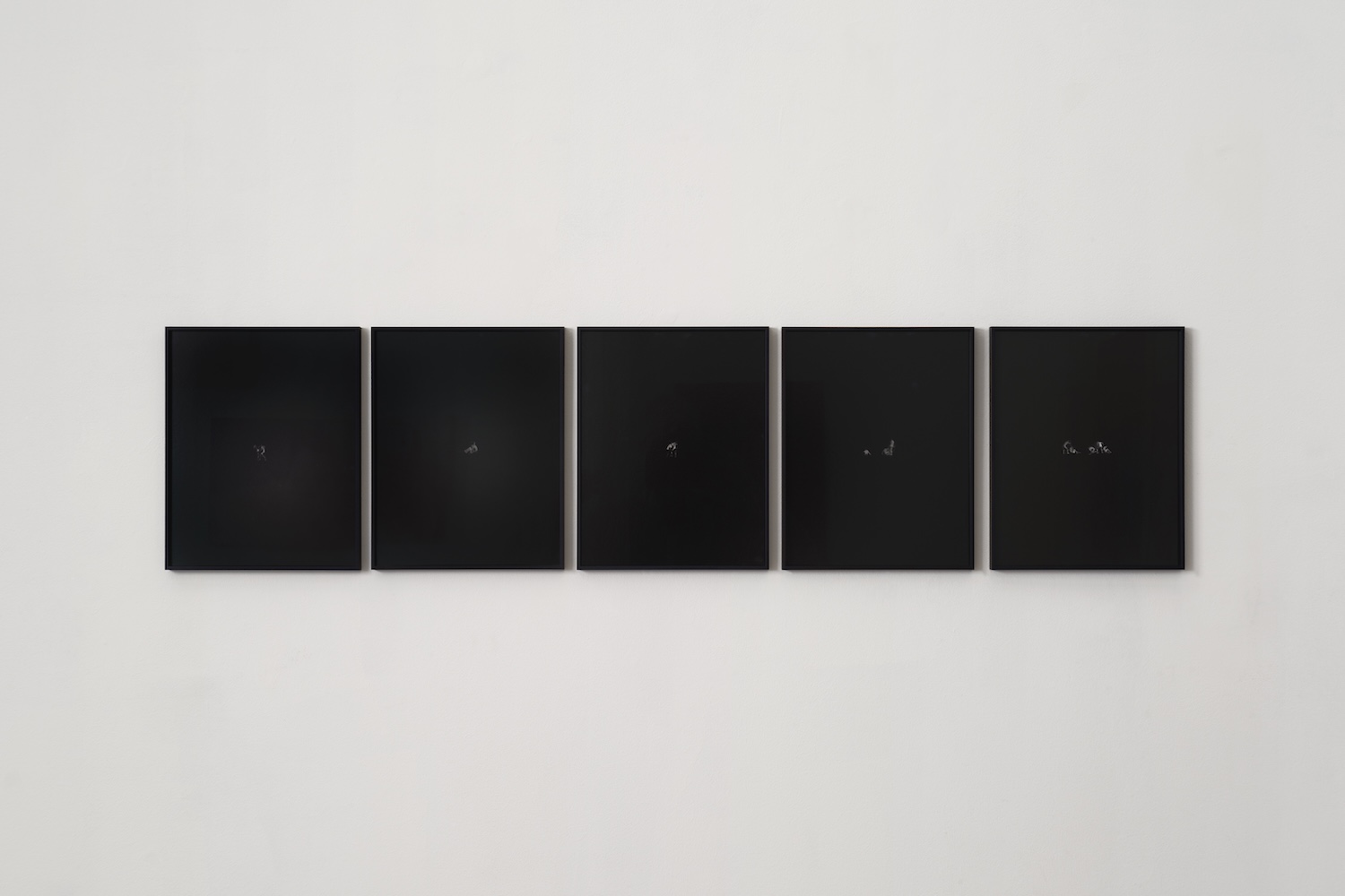 Installation Views at Gowen Contemporary