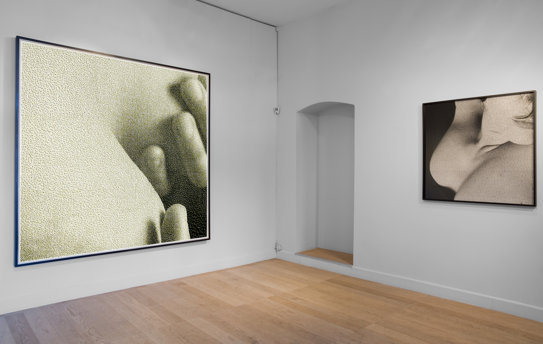 Installation Views at Gowen Contemporary