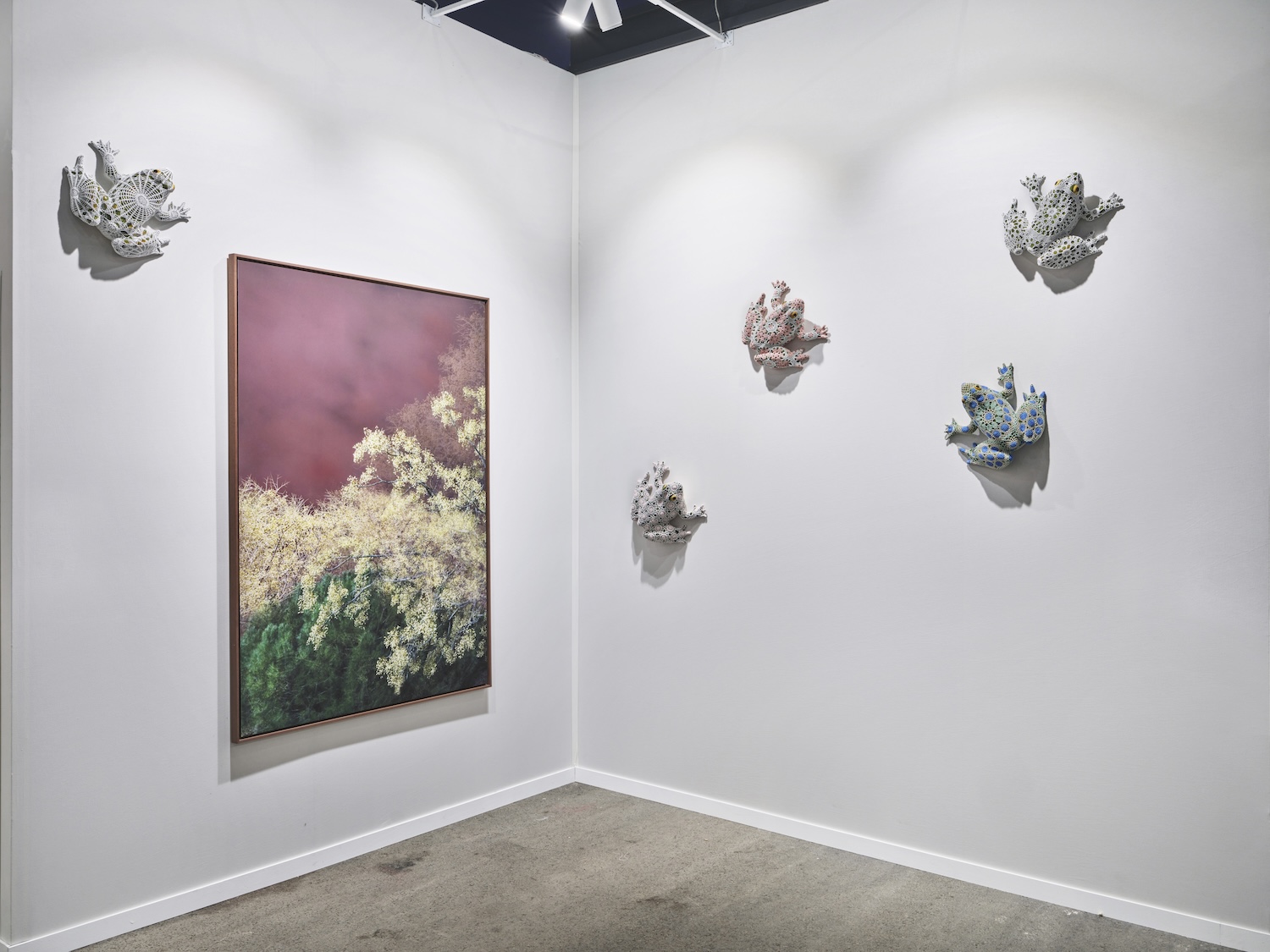Installation Views at Gowen Contemporary