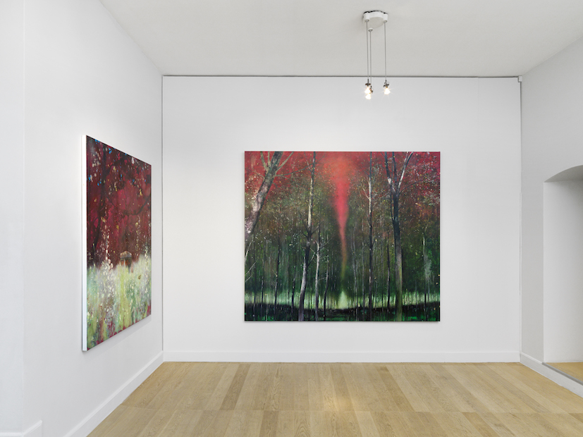 Installation Views at Gowen Contemporary