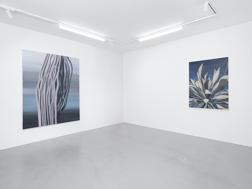 Installation views at Gowen Contemporary