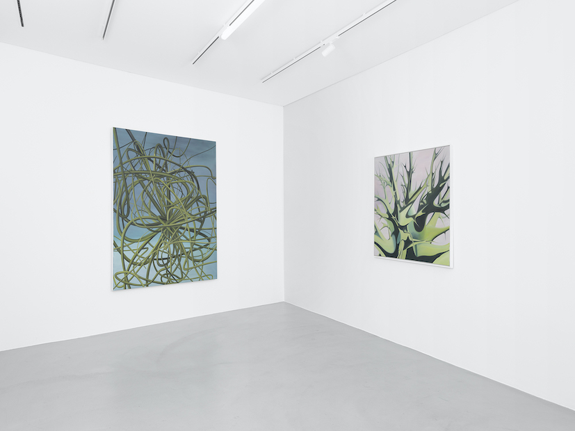 Installation views at Gowen Contemporary