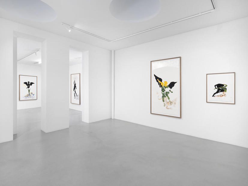 Installation Views at Gowen Contemporary