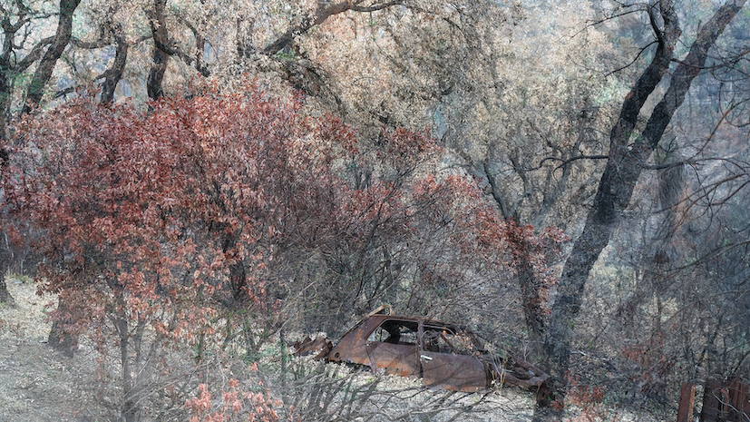 Selected Works at Gowen Contemporary