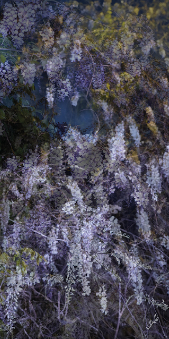 Selected Works at Gowen Contemporary