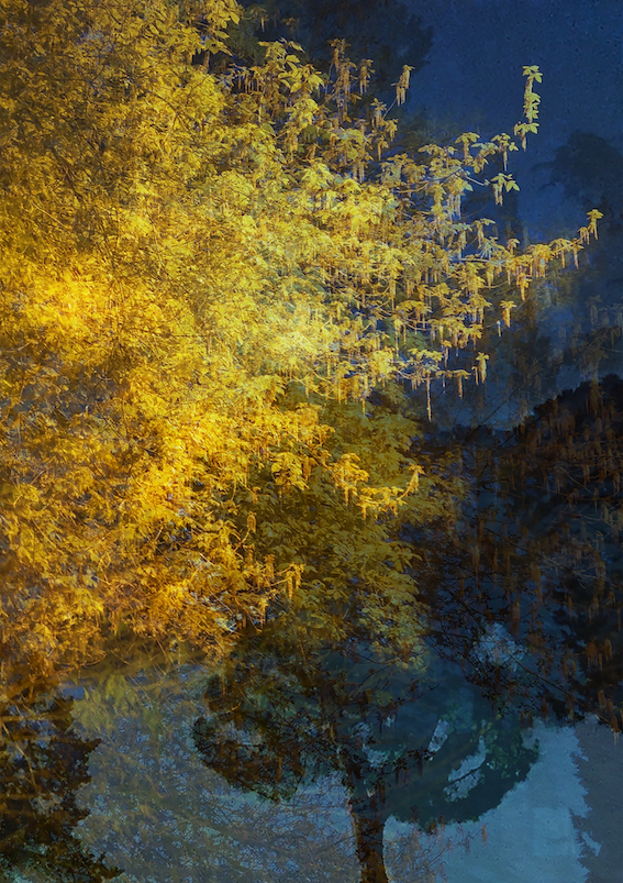 Selected Works at Gowen Contemporary