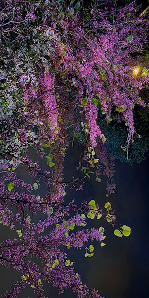 Selected Works at Gowen Contemporary