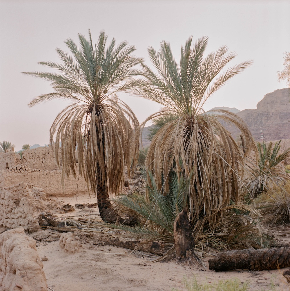Selected Works at Gowen Contemporary