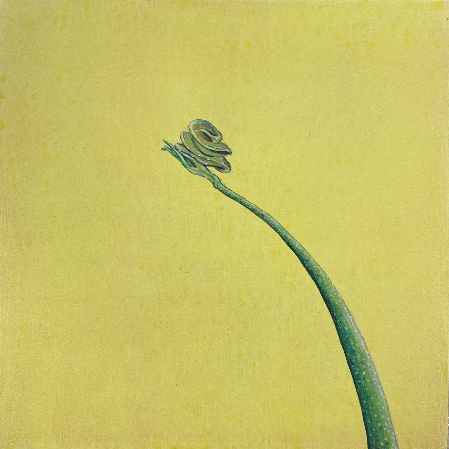 Selected Works at Gowen Contemporary