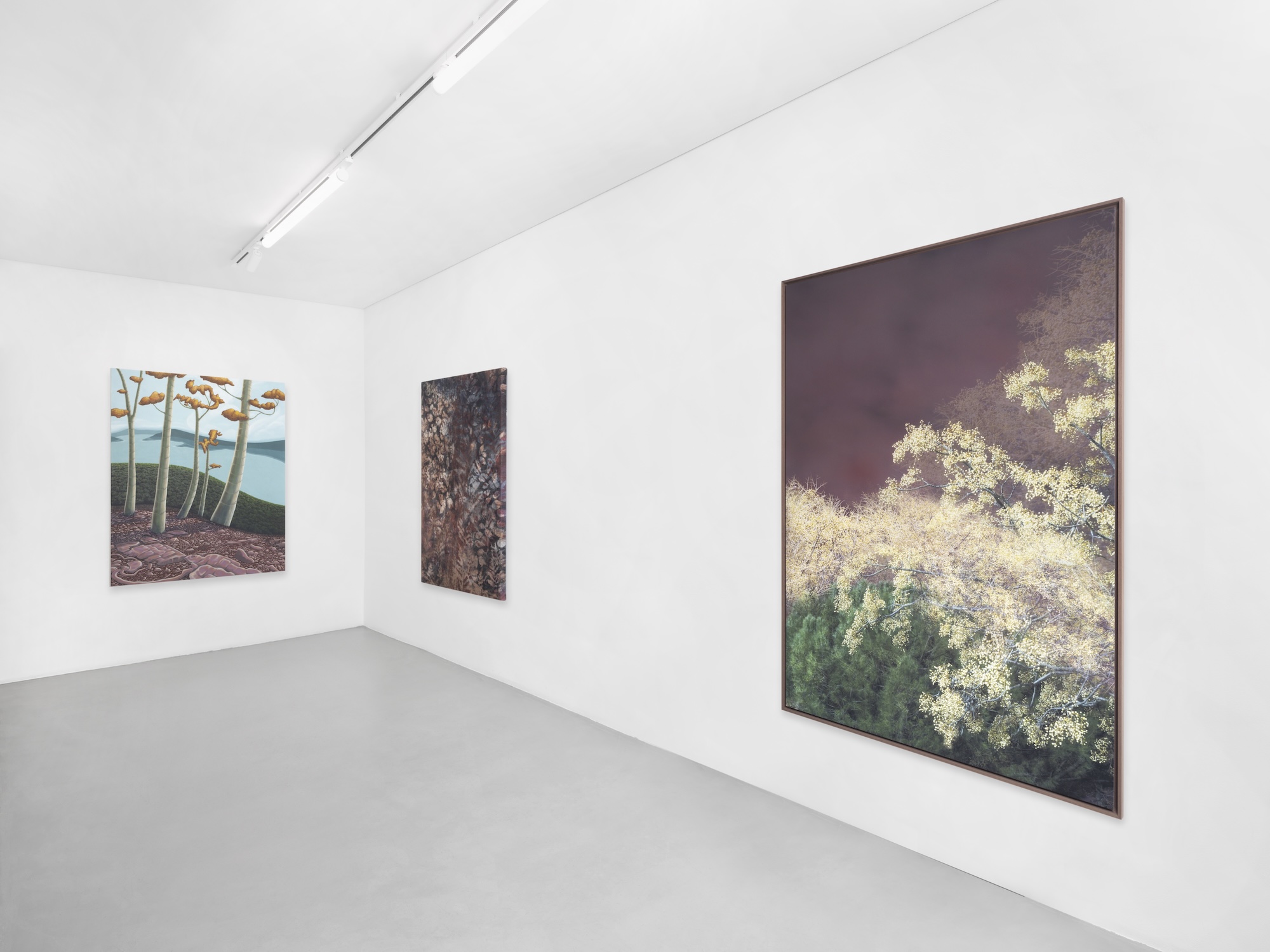 thumbnail - Installation Views