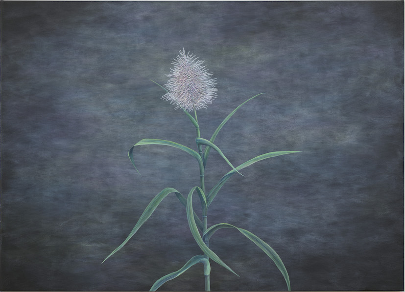 thumbnail - Selected Works